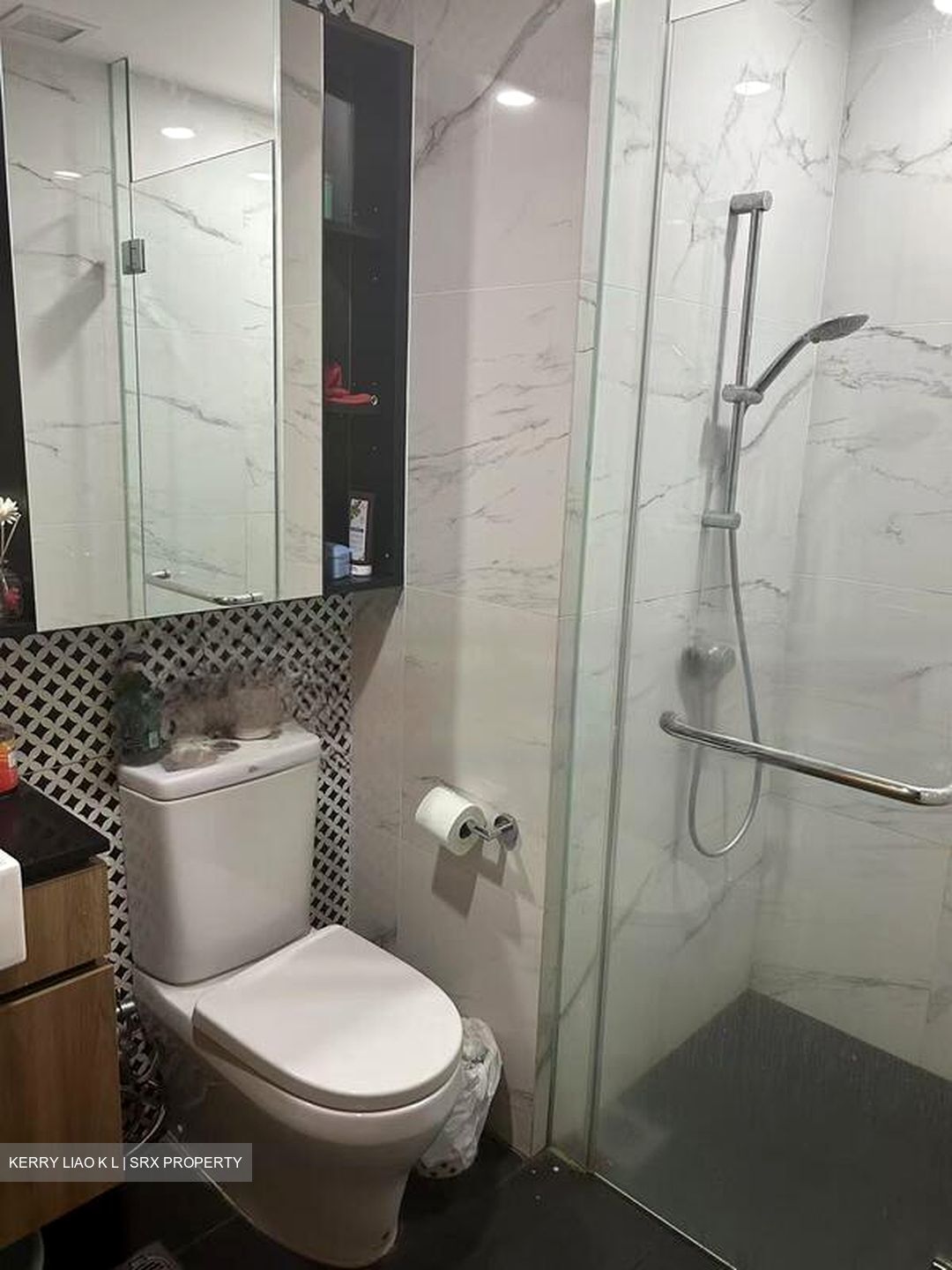 The Verandah Residences (D5), Apartment #446239151